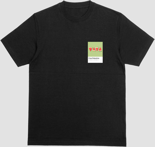 Free Palestine Colour Card T-Shirt